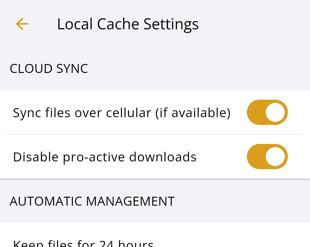 Local Cache Settings with Sync files over cellular (if available) turned on.